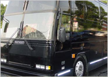 VIP Limo Bus in NJ & NYC for 45 Passengers